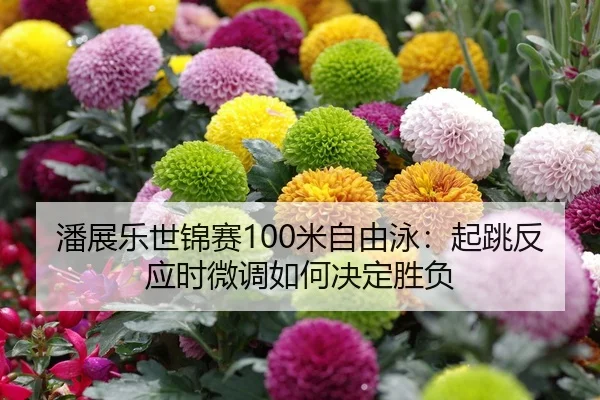 潘展乐世锦赛100米自由泳：起跳反应时微调如何决定胜负