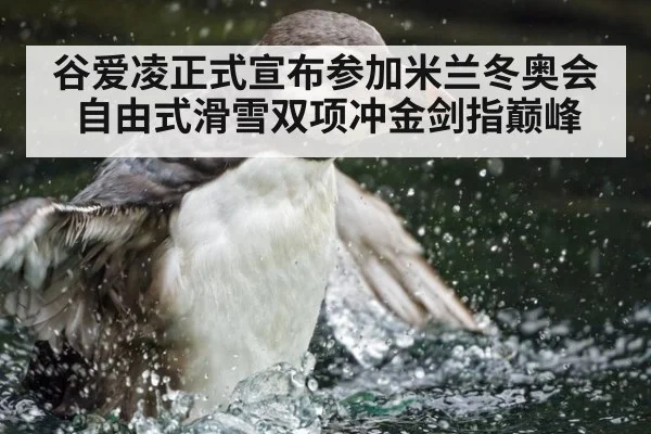 谷爱凌正式宣布参加米兰冬奥会 自由式滑雪双项冲金剑指巅峰
