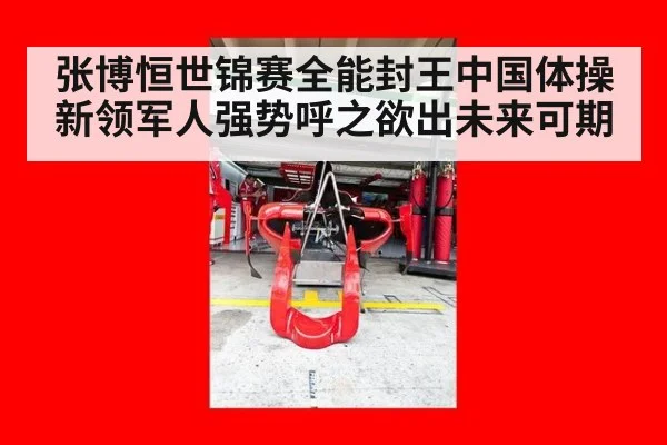 张博恒世锦赛全能封王中国体操新领军人强势呼之欲出未来可期